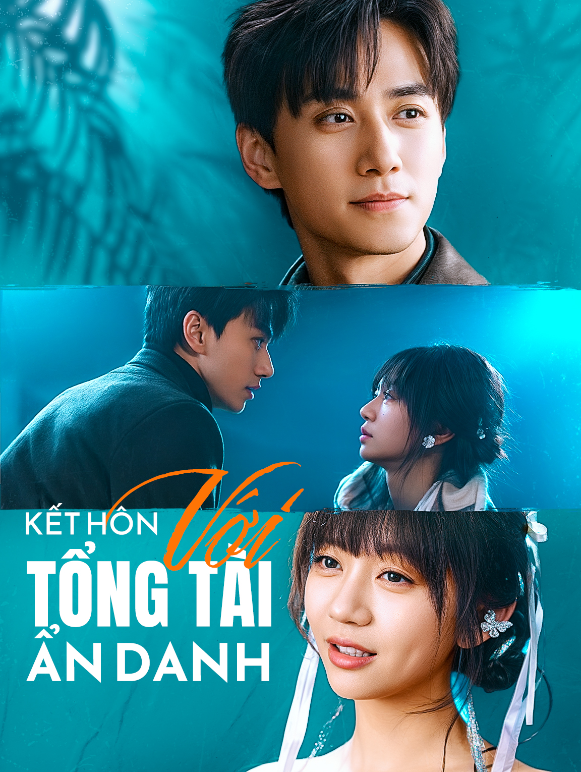 Kết Hôn Với Tổng Tài Ẩn Danh