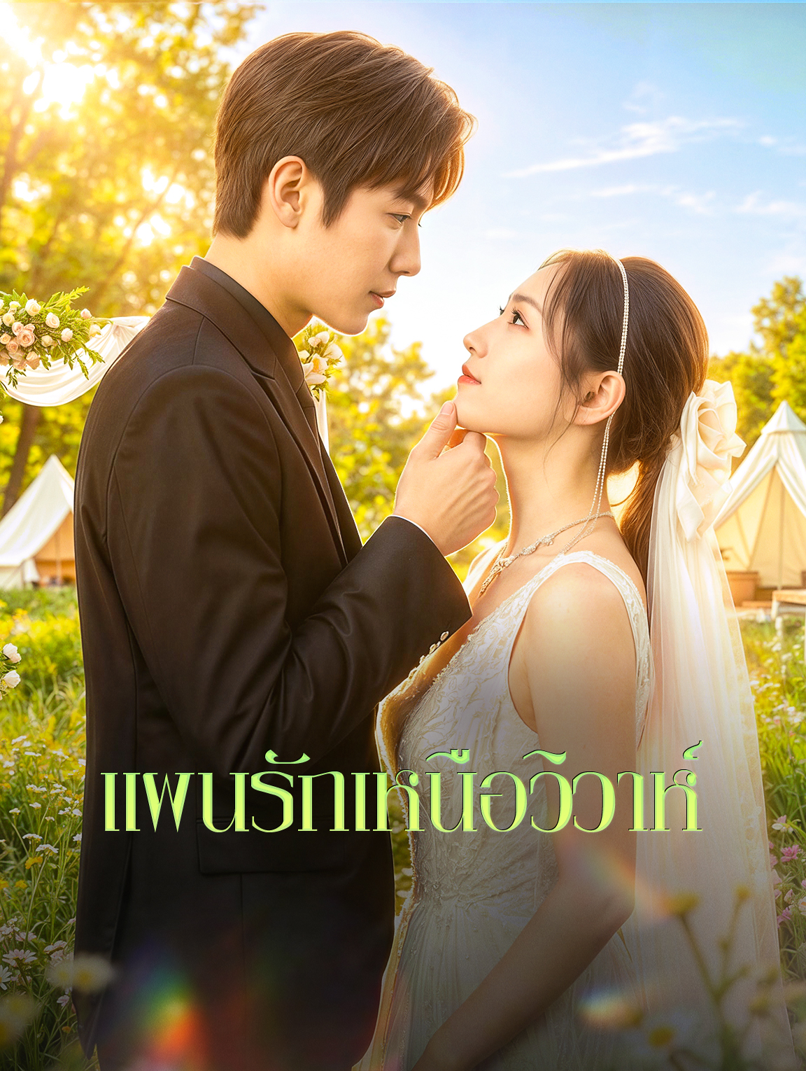 แผนรักเหนือวิวาห์