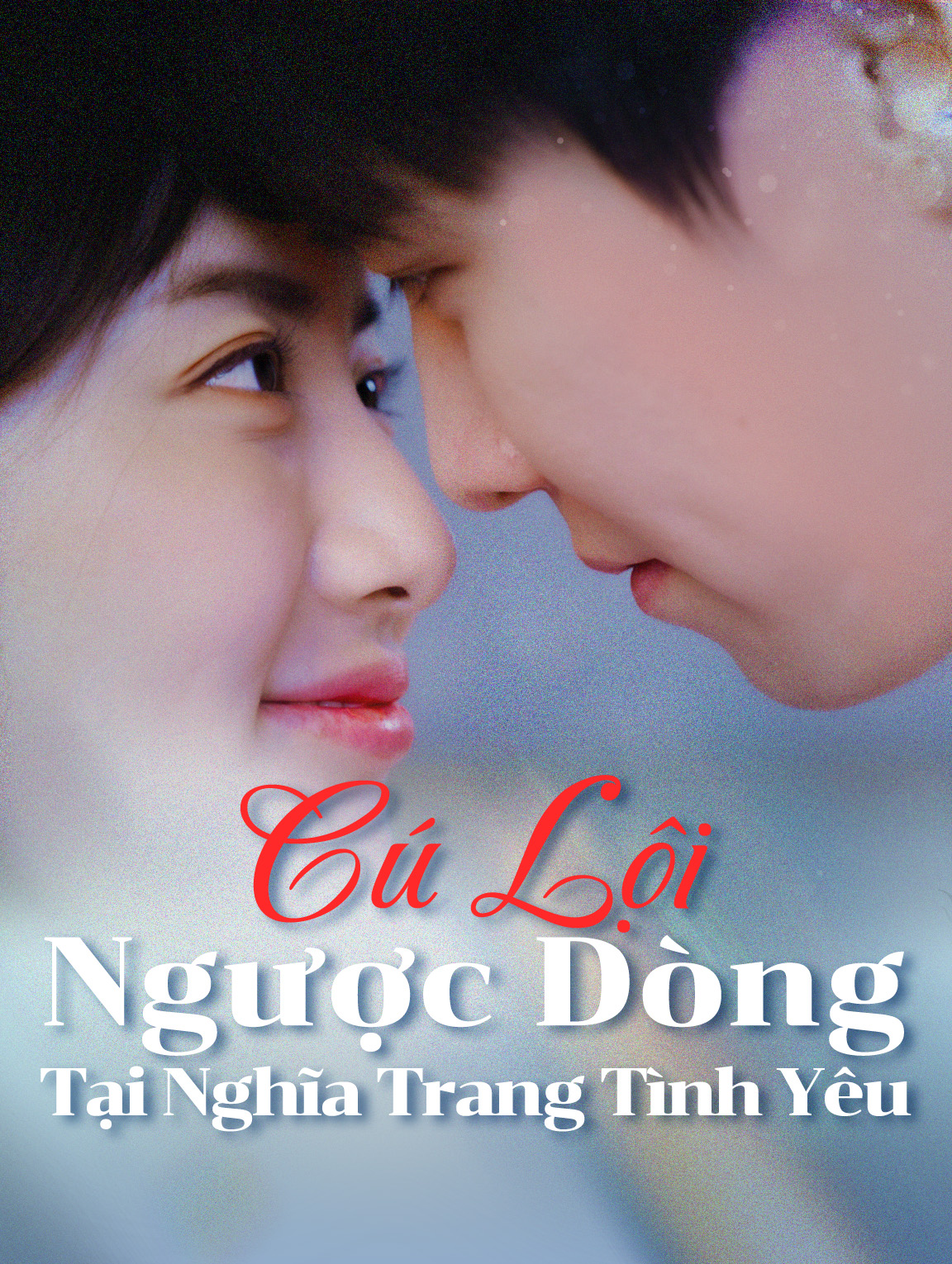 Cú Lội Ngược Dòng Tại Nghĩa Trang Tình Yêu