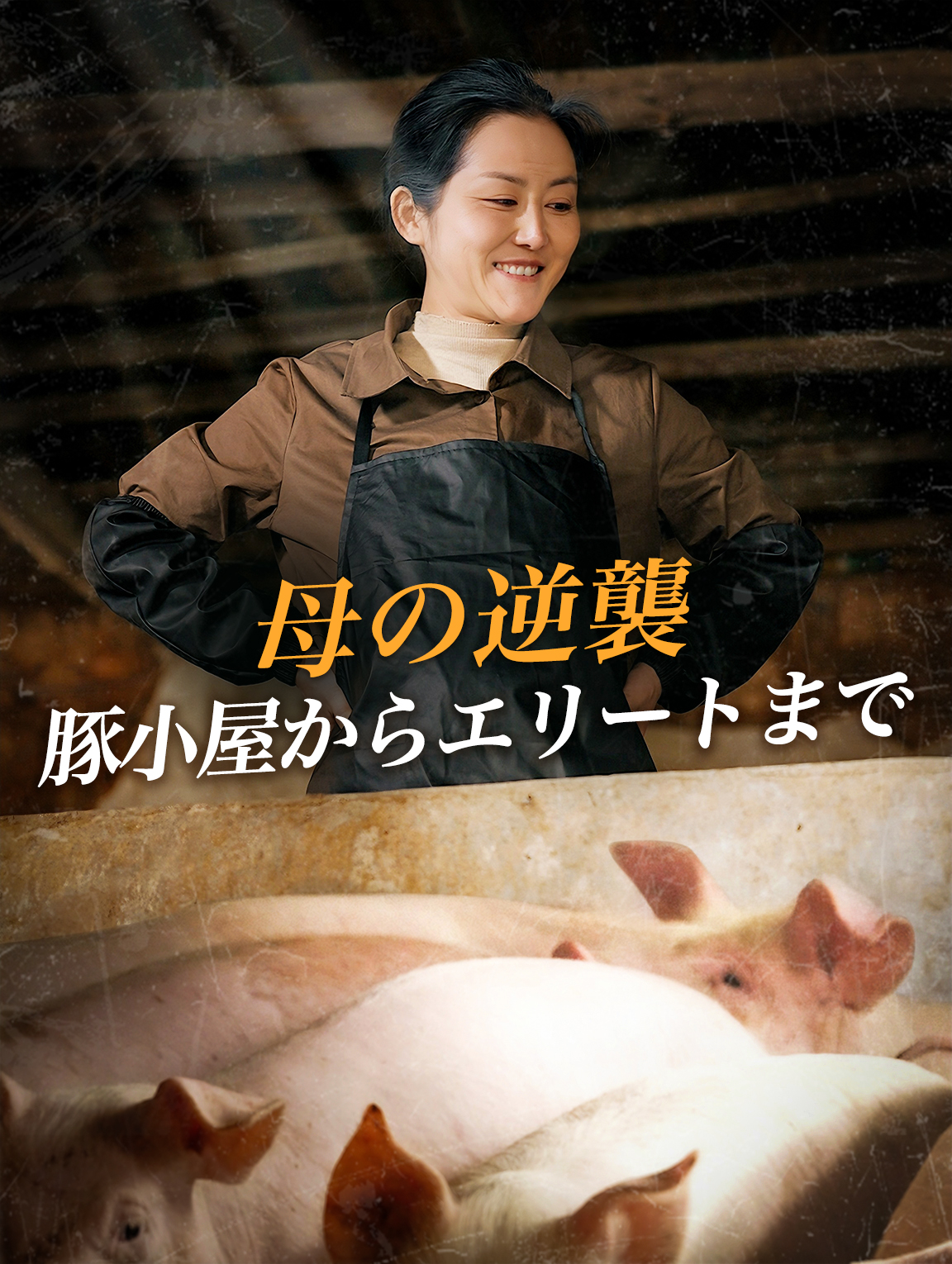 母の逆襲 豚小屋からエリートまで