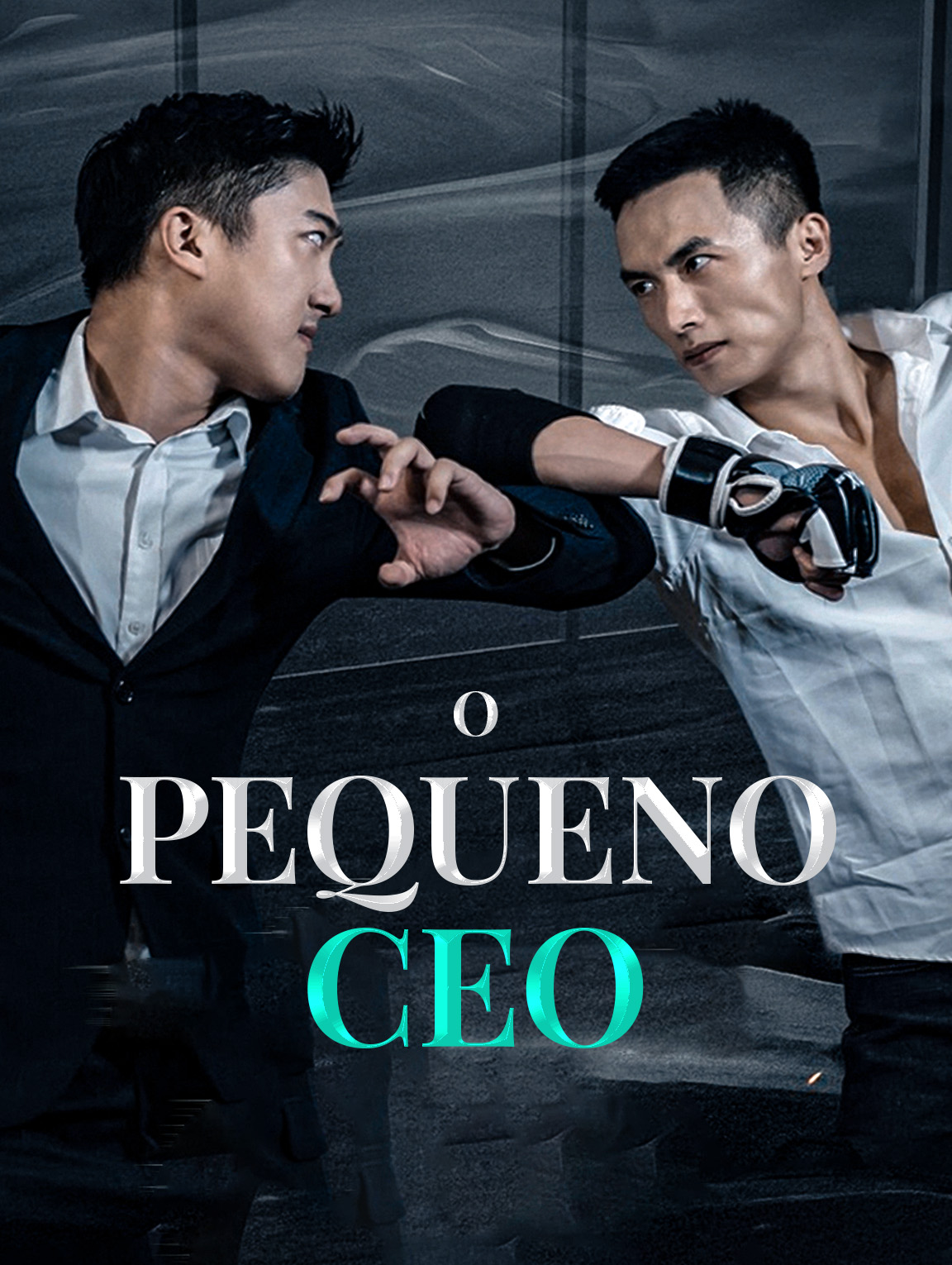 O Pequeno CEO
