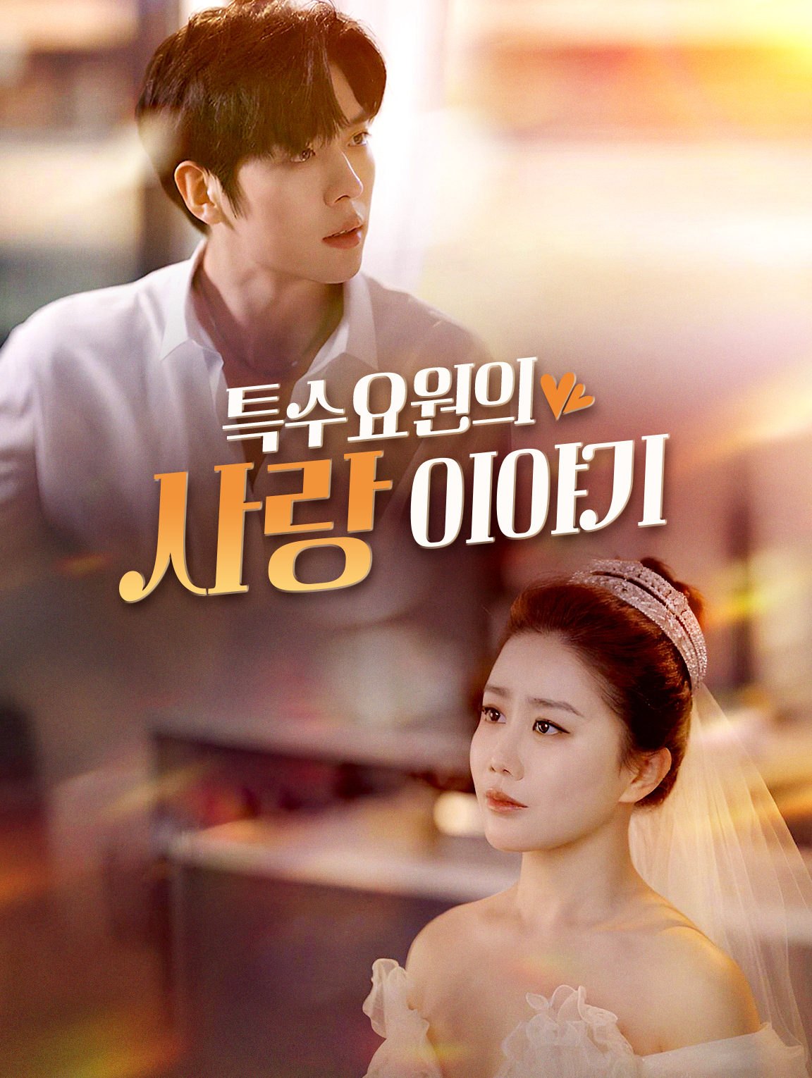 특수요원의 사랑 이야기