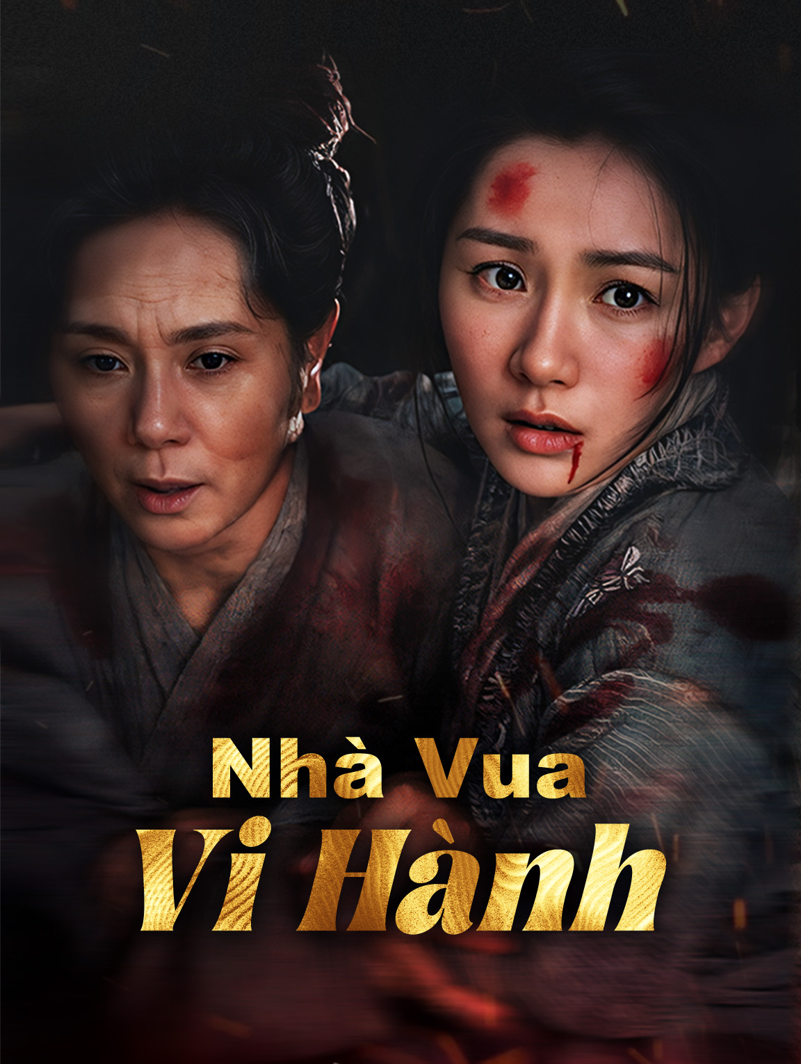 Nhà Vua Vi Hành