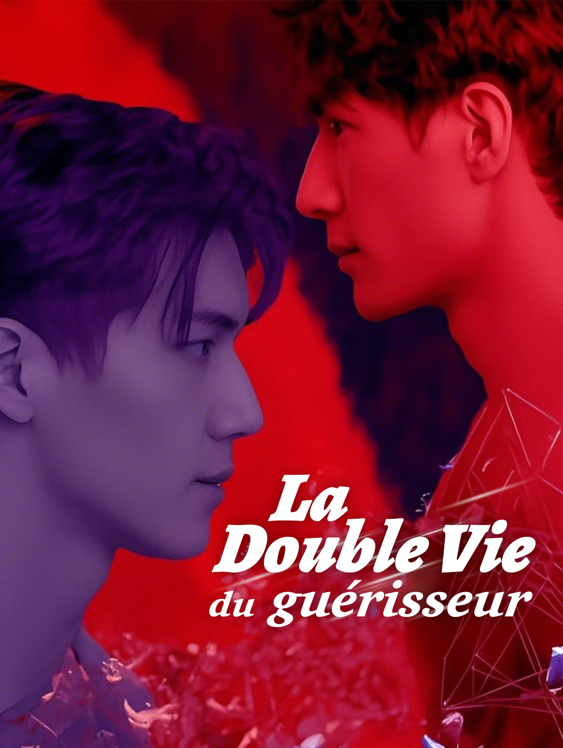 La Double Vie du guérisseur