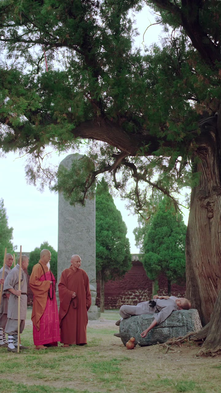 Warisan Gunung Song(Sulih Suara)