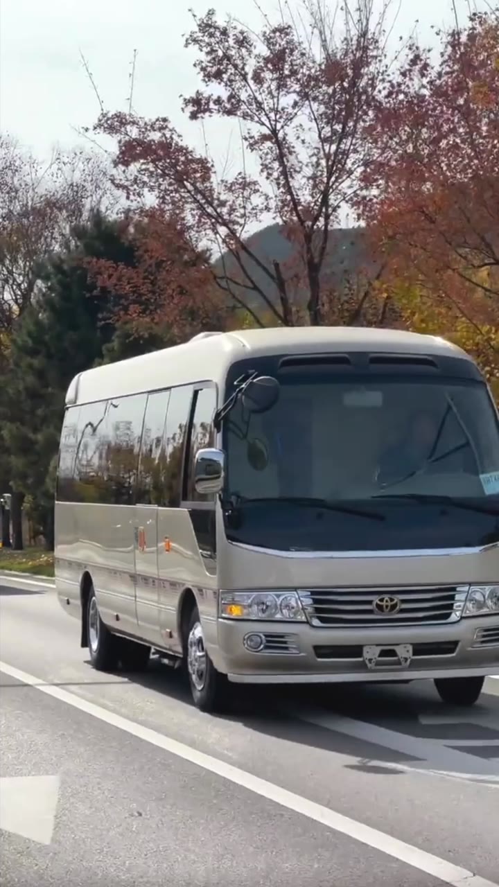 Istri CEO Datang dari Desa untuk Mendukungmu(Sulih Suara)