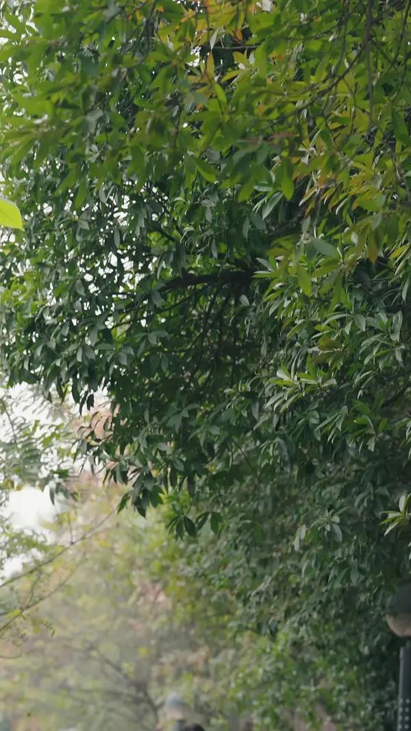 ตอนที่ 41
