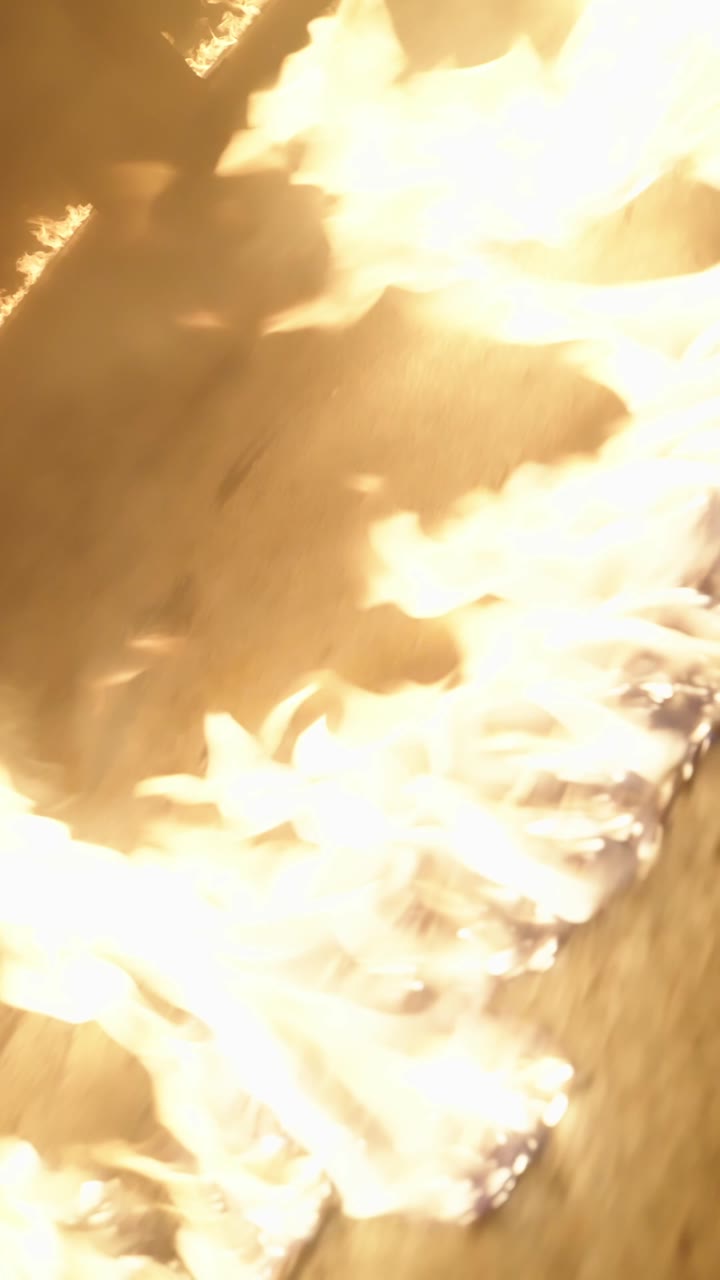 Bayi Wingman Online Bayi Kembar yang lucu