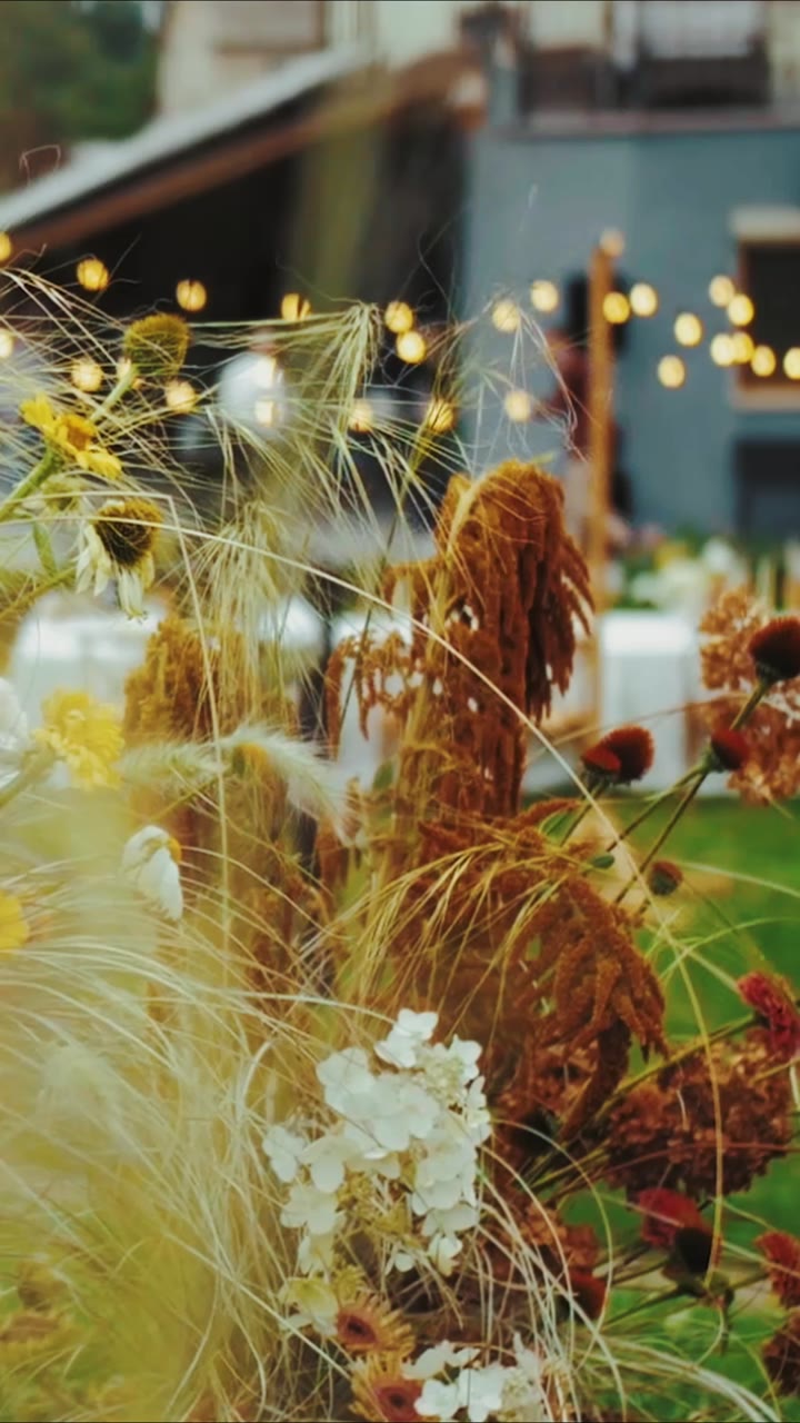 Istri XXL Sang Wali Kota: Kembalinya yang Memukau(Sulih Suara)