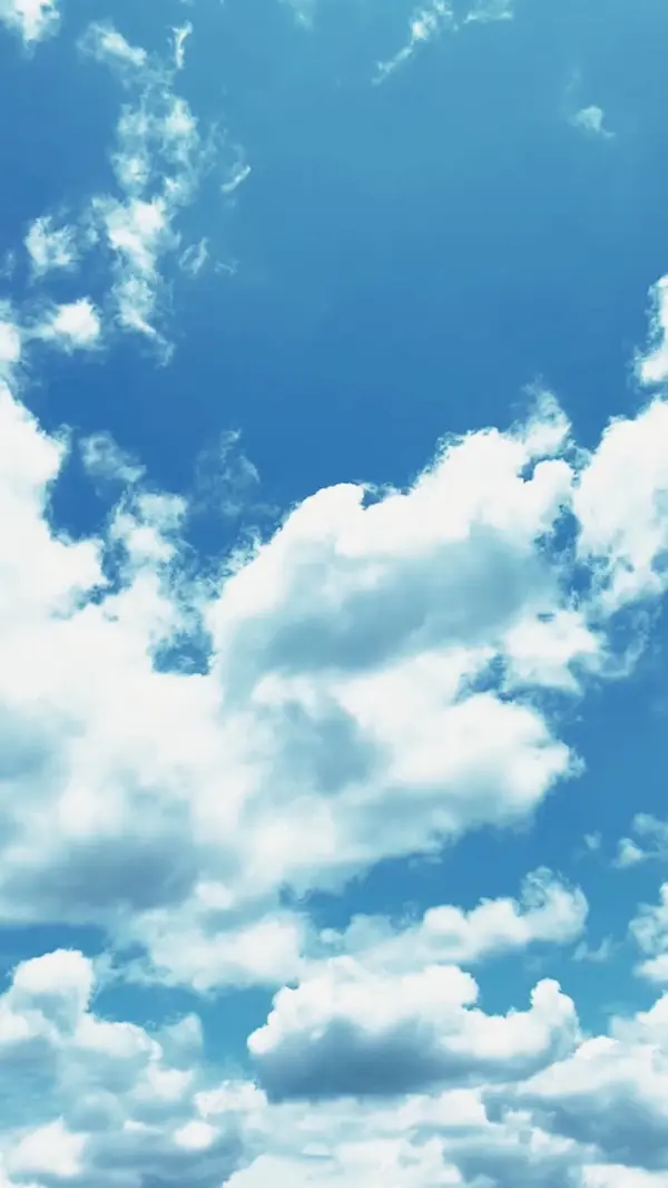 ตอนที่ 31