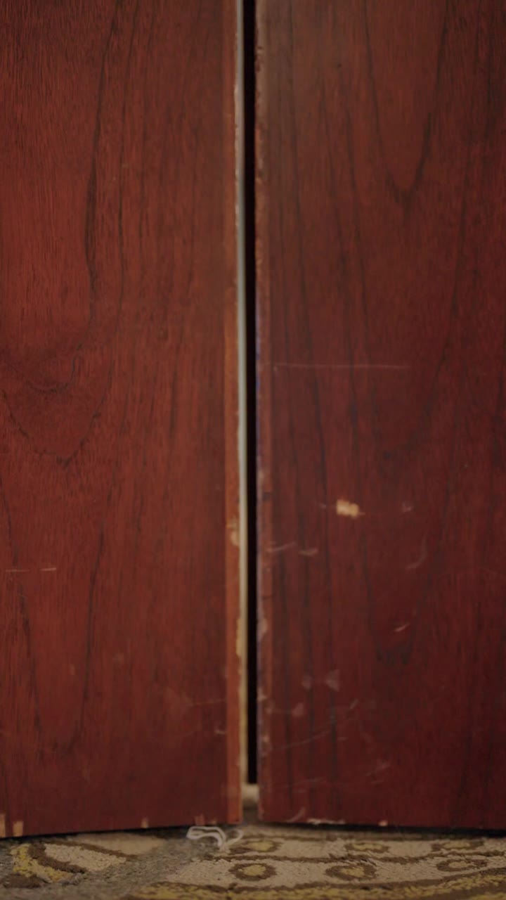 Ayah Tukang Bersih-bersih, Raja Mafia