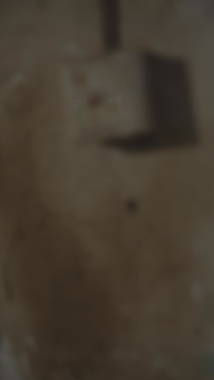 Bayi Wingman Online Bayi Kembar yang lucu